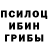 Псилоцибиновые грибы GOLDEN TEACHER Erwin Apatan