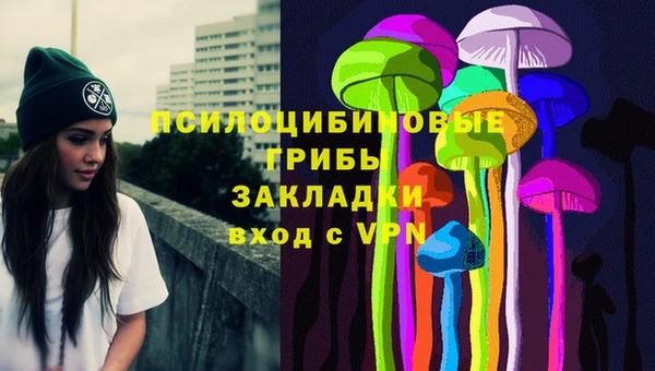 ГАЛЛЮЦИНОГЕННЫЕ ГРИБЫ Алексин