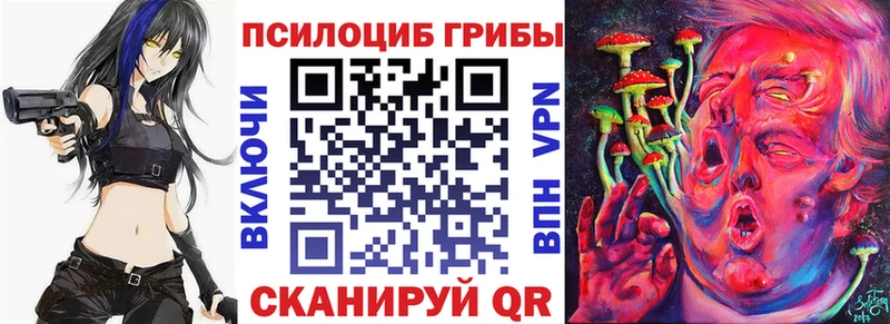 наркота  даркнет официальный сайт  Галлюциногенные грибы мицелий  Волгодонск 